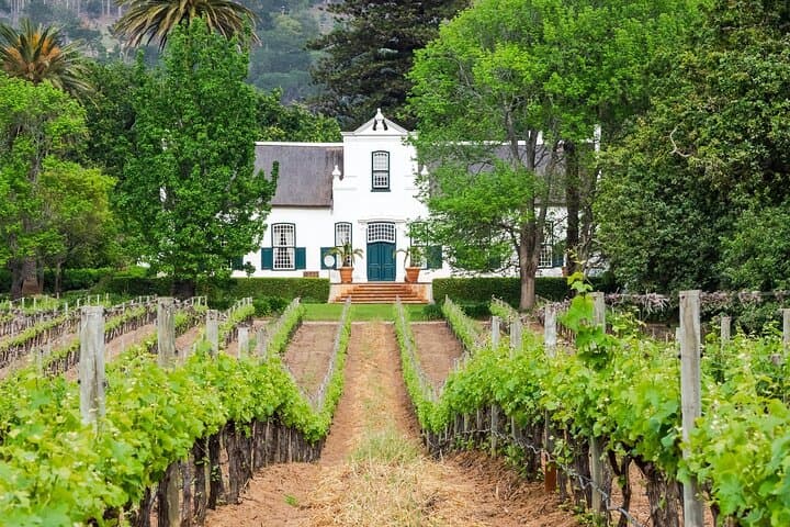 Uncork the Cape: Stellenbosch Half-Day Wine Tour from Cape Town