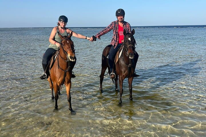 Horseback Riding in Marsa Alam and Port Ghalib Marina Shopping photo 2