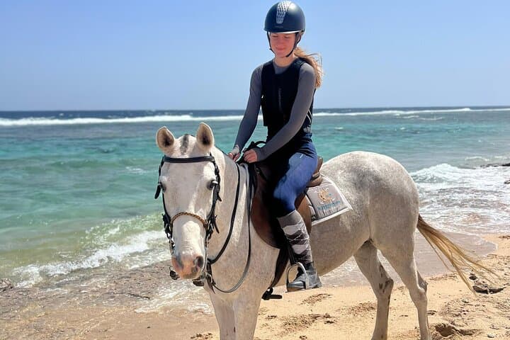 Horseback Riding in Marsa Alam and Port Ghalib Marina Shopping photo 5