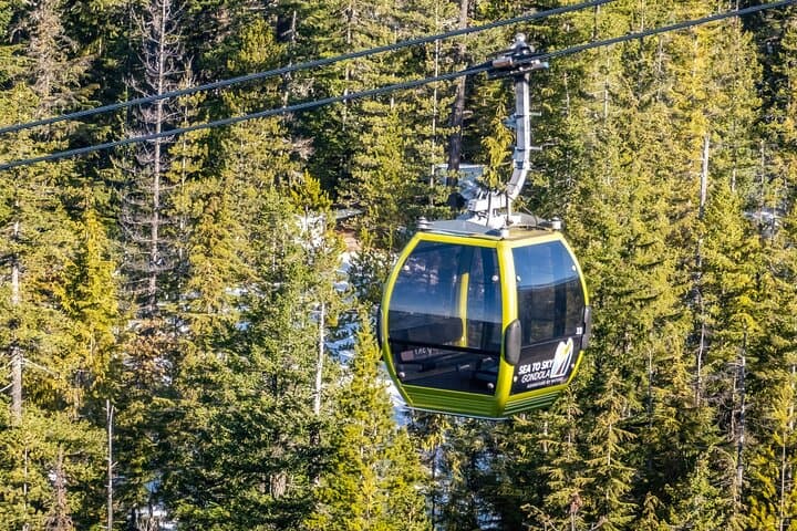 Sea-to-Sky Day Trip: Whistler with Shannon & Brandywine Falls from Vancouver photo 6