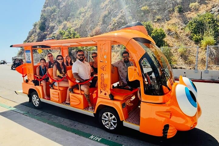 Gary the Garibaldi Avalon Private City Tour: Electric Golf Cart Sightseeing photo 5