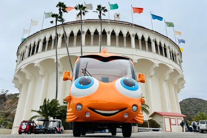 Gary the Garibaldi Avalon Private City Tour: Electric Golf Cart Sightseeing photo 6