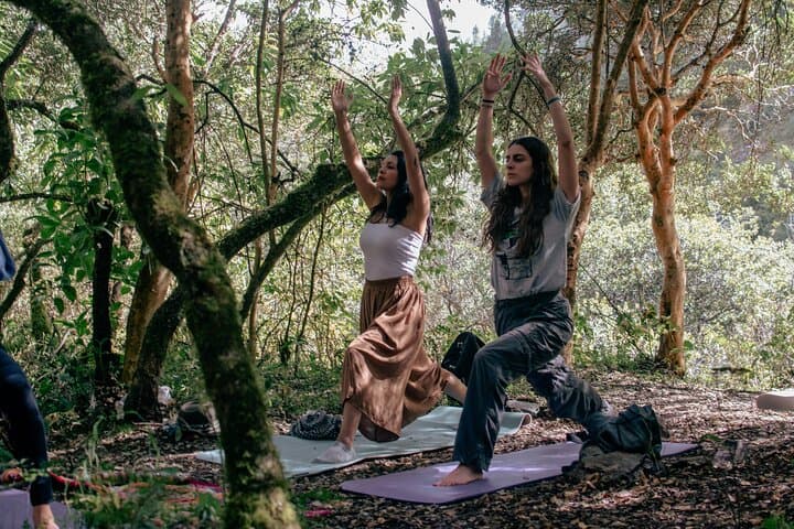 Sacred Valley Private Yoga and Sonotherapy — Forest Healing Near Cusco