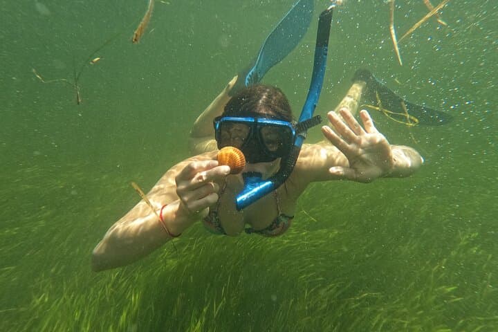 Ultimate Private Scalloping Adventure in Crystal River: Explore Florida’s Underwater Playground photo 6