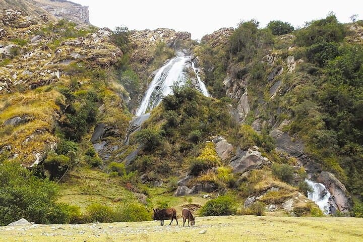 Lake Rocotuyoc High-Altitude Hike in Huascarán National Park photo 5