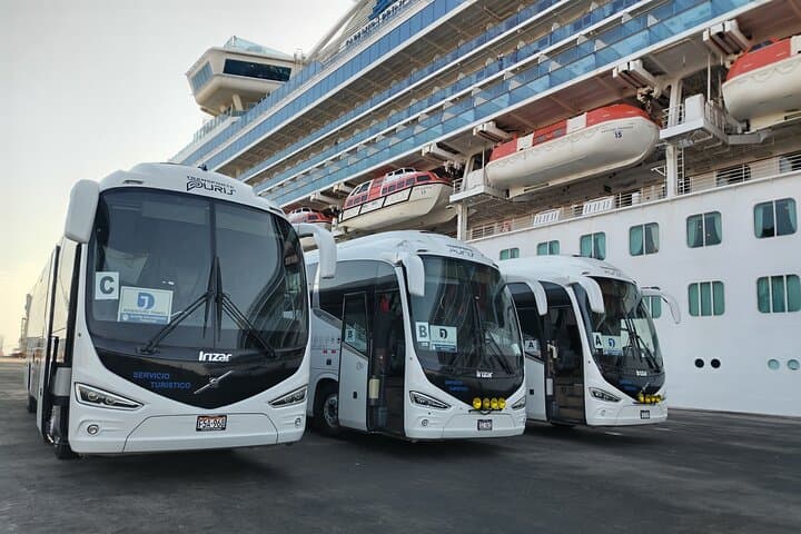 Ballestas Islands and Tambo Colorado Day Tour from Pisco Port photo 2
