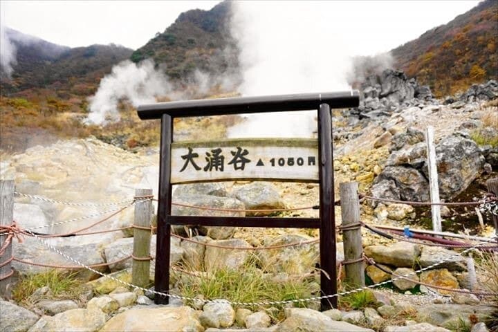 Owakudani Hell Valley and Lake Ashi: Hakone Guided Tour, Ropeway & Pirate Ship photo 3
