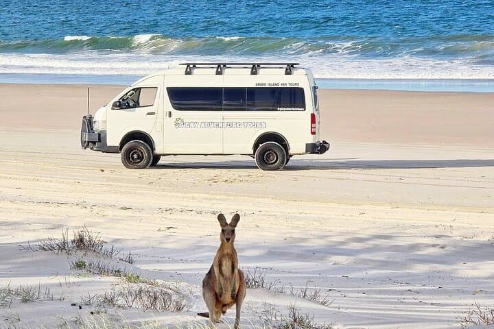 Bribie Island 4WD, Kayak & WWII Bunker Tour — Beaches, Bunkers and Bays photo 5
