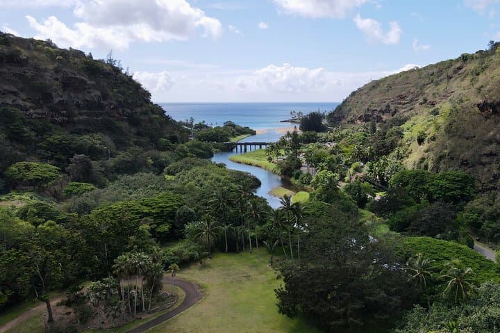 Explore Oahu’s North Shore: A Private Tour of Waimea Falls and Coastal Wonders photo 2