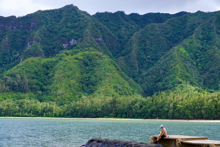 Explore Oahu’s North Shore: A Private Tour of Waimea Falls and Coastal Wonders photo 5