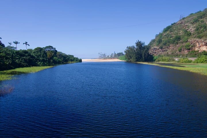 Explore Oahu’s North Shore: A Private Tour of Waimea Falls and Coastal Wonders photo 6