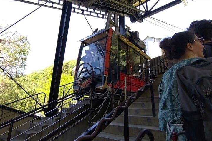 Chureito Pagoda & Lake Kawaguchi: Mount Fuji Panorama Guided Van Tour photo 2