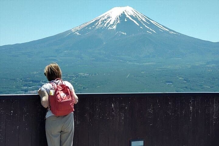 Chureito Pagoda & Lake Kawaguchi: Mount Fuji Panorama Guided Van Tour photo 5