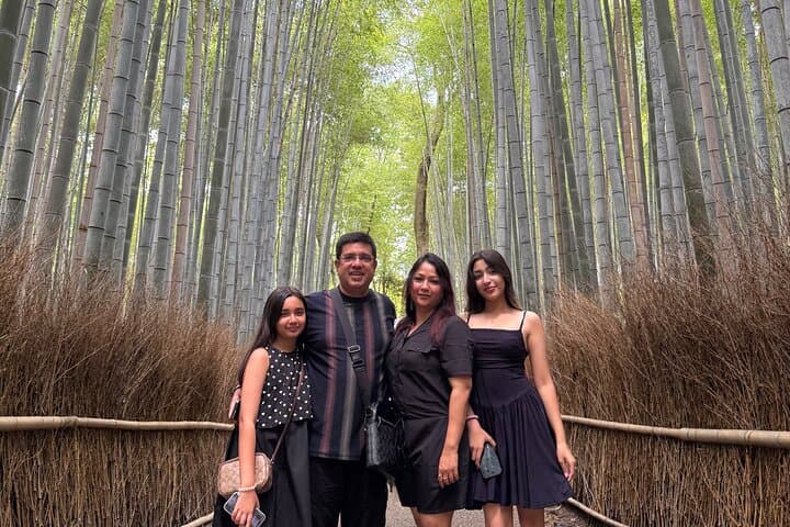 Private Kyoto Escape: Bamboo Grove, Hidden Shrines & Countryside Car Tour photo 2