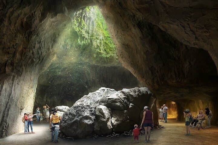 Singapore 3-Park Explorer Pass — Complete Guide to Zoo, River Wonders & Bird Paradise photo 6