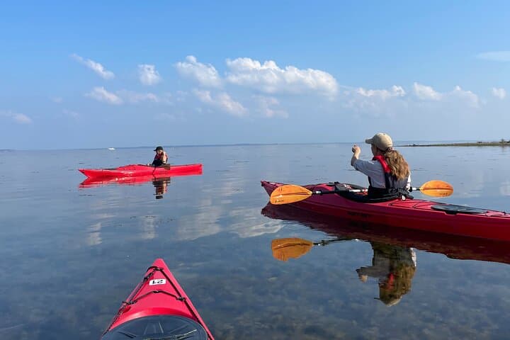 Self-Service Kayak & SUP Rentals at Rørvig Harbour — Paddle the Isefjord