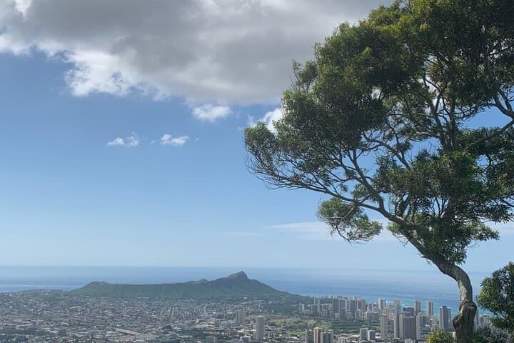 Oʻahu Circle Island Private Tour for Couples — A Romantic Day Around the Island photo 3