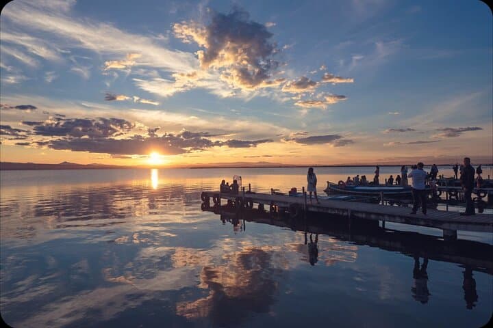 Coastal Bike Escape: Valencia to Albufera Wetlands & Beaches