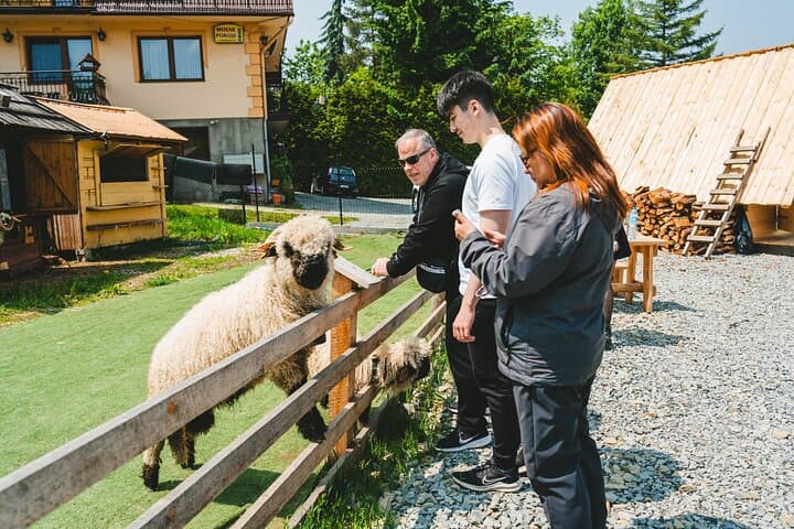 Day Trip to Zakopane: Gubałówka Funicular, Highland Tasting & Krupówki Stroll photo 1