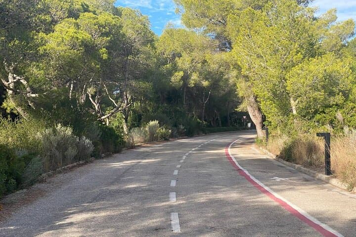 Coastal Bike Escape: Valencia to Albufera Wetlands & Beaches photo 5