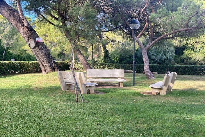 Coastal Bike Escape: Valencia to Albufera Wetlands & Beaches photo 4
