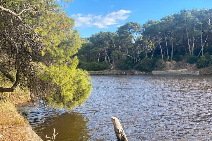 Coastal Bike Escape: Valencia to Albufera Wetlands & Beaches photo 6