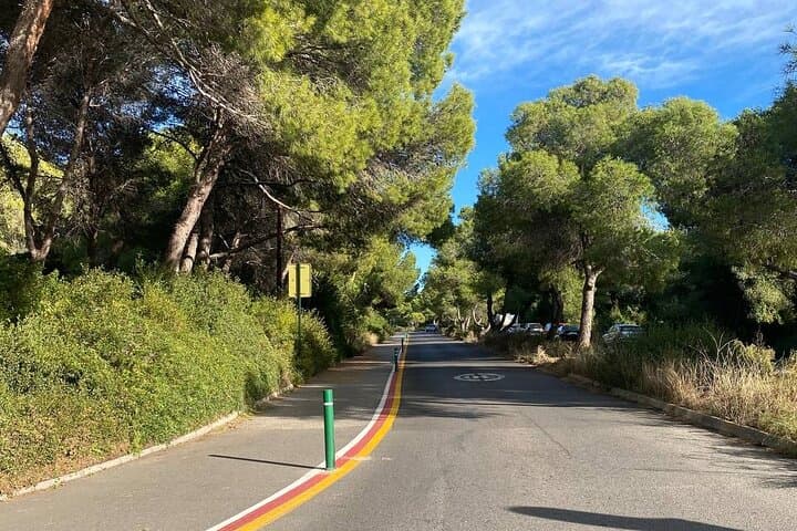 Coastal Bike Escape: Valencia to Albufera Wetlands & Beaches photo 3