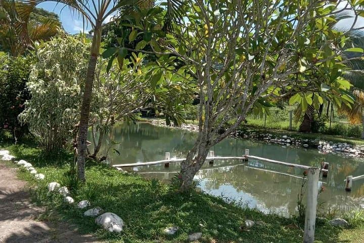 Private Nadi Temple Tour: Temple, Market, Orchids & Sabeto Mud Pools photo 3