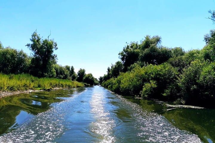 Wild Danube Delta Speedboat Day Trip from Bucharest — Tulcea Boat & Birdwatching