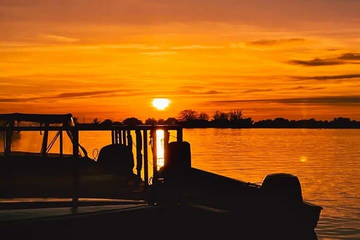 Danube Delta Speedboat Day Trip from Bucharest - Tulcea Wildlife Cruise photo 4