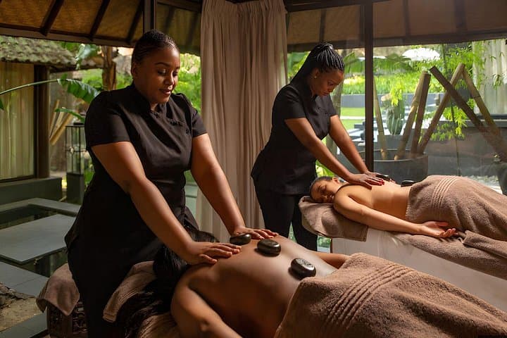 Inclusive Safari and Spa Day Trip from Johannesburg — Dinokeng Game Drive & Spa