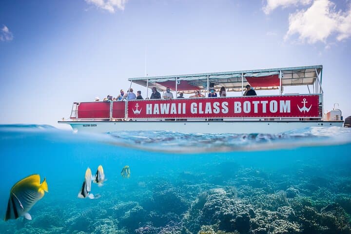 Waikiki Sea Safari: Dolphins, Turtles & Diamond Head Cruise