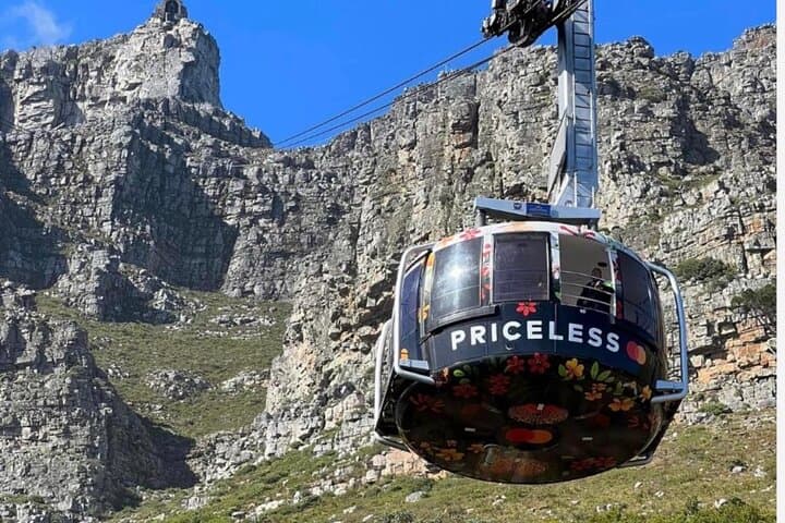 Half-Day Table Mountain & Boulders Penguin Encounter from Cape Town photo 2