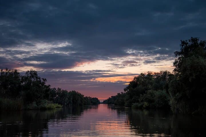 Wild Danube Delta Speedboat Day Trip from Bucharest — Tulcea Boat & Birdwatching photo 2