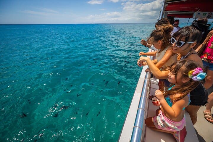 Waikiki Sea Safari: Dolphins, Turtles & Diamond Head Cruise photo 2