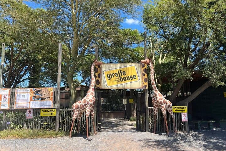 Giraffe Encounter & Lion Park with Stellenbosch Wine Tasting — Day Trip from Cape Town