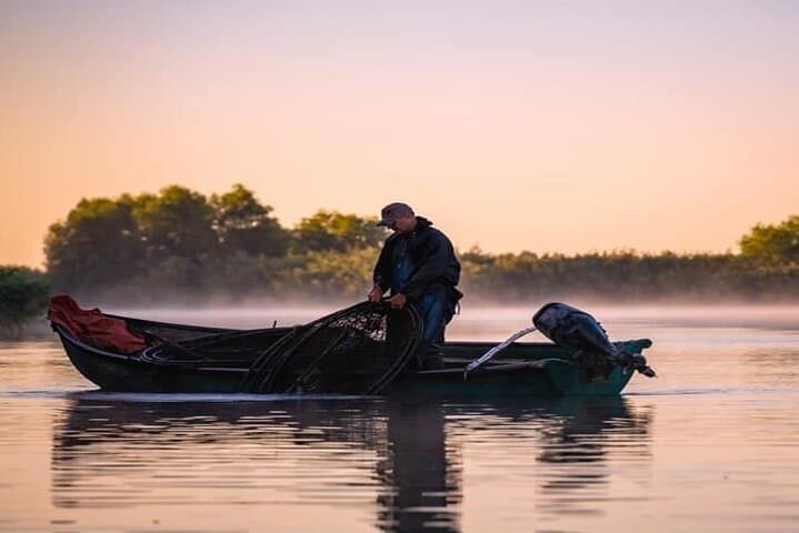 Danube Delta Speedboat Tour from Bucharest — Small-Group Premium Day Trip