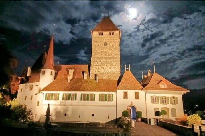Spiez Walking Tour: Castle, Forest and Lake Thun Shoreline (80 minutes) photo 3