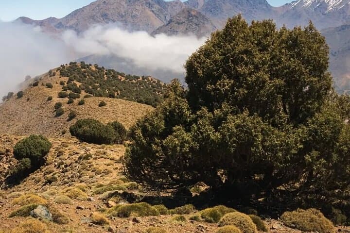 High Atlas Tasghimot Summit Hike from Marrakech — Imlil Valley Day Trek