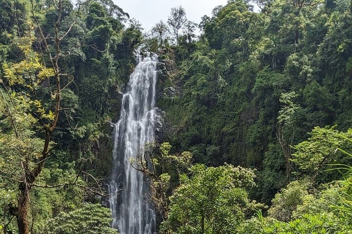 Materuni Waterfalls and Chagga Coffee Tour — Day Trip from Arusha photo 5