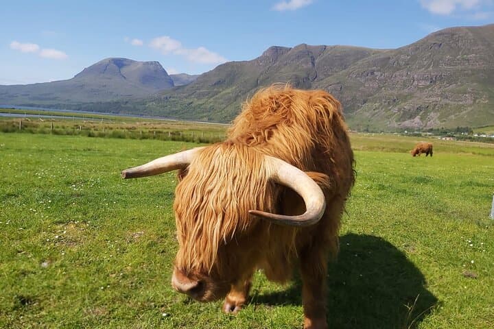 Outlander Private Luxury Day Tour from Glasgow — Lallybroch, Doune & Culross photo 2