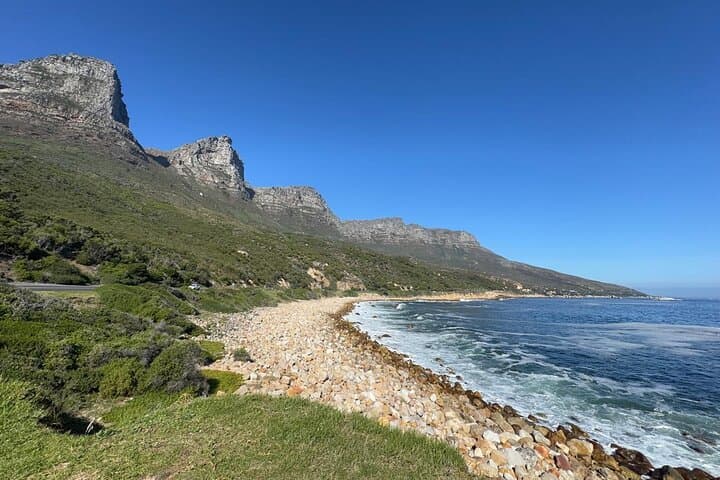 Boulders Penguins, Chapman's Peak & Cape Point: Electric Peninsula Tour from Cape Town photo 5