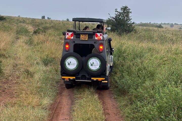 3-Day Maasai Mara Classic Safari: Big Five Game Drives and Migration Watch photo 5