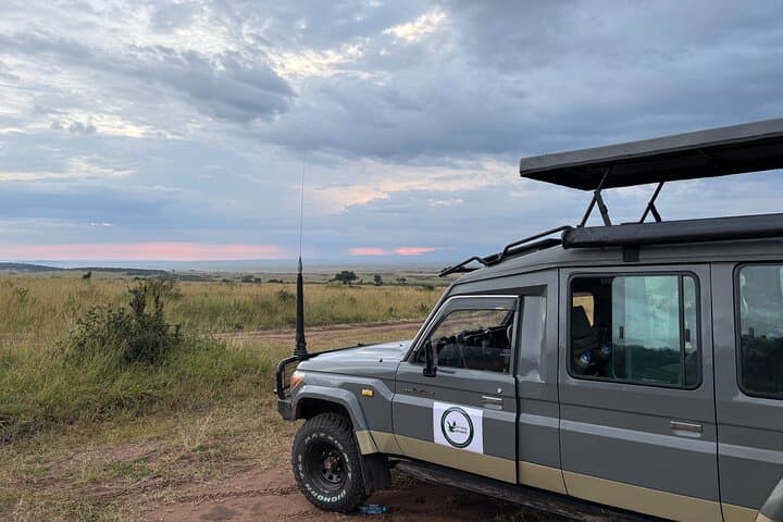 3-Day Maasai Mara Classic Safari: Big Five Game Drives and Migration Watch photo 3