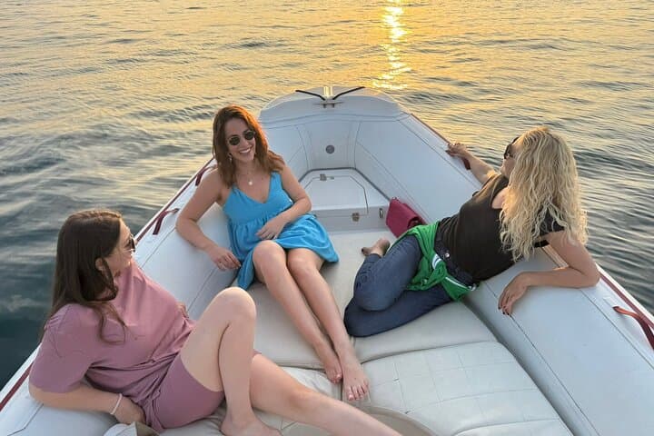 Porec Sunset Dolphin Cruise by Speedboat — 90-Min Coastal Evening