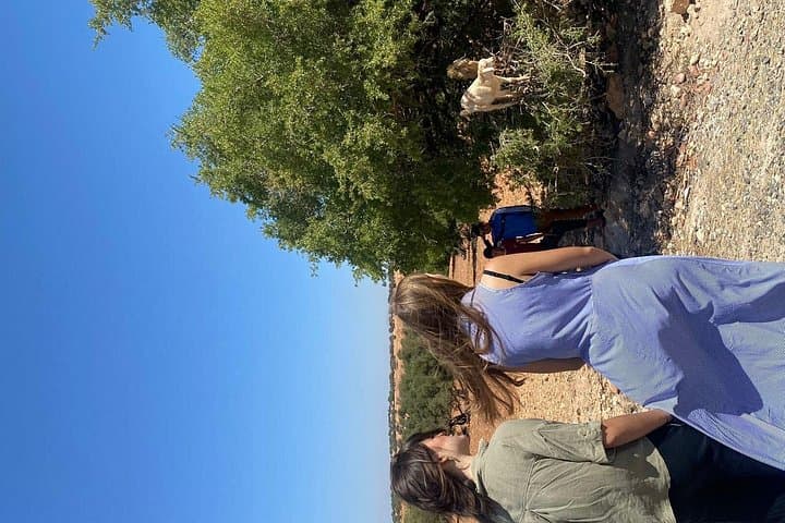 Private Day Trip from Marrakech to Essaouira: Argan Trees, Medina & Atlantic Seafood photo 2