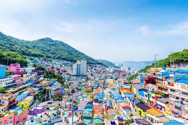 Busan Hidden Gems: Beaches, Temples & Local Food Private Tour