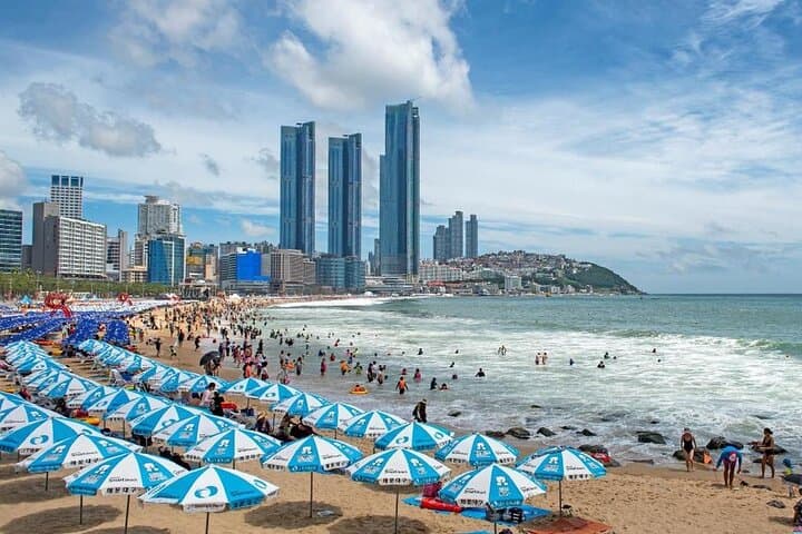 Busan Hidden Gems: Beaches, Temples & Local Food Private Tour photo 3