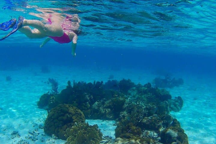 Hopkins Barrier Reef Snorkeling: South Water Caye Day Trips photo 5