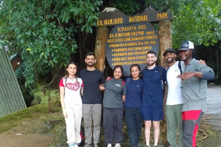 Kilimanjaro Day Hike from Moshi — Marangu Route Rainforest Trek photo 6